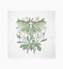 Metamorphosis Scarf