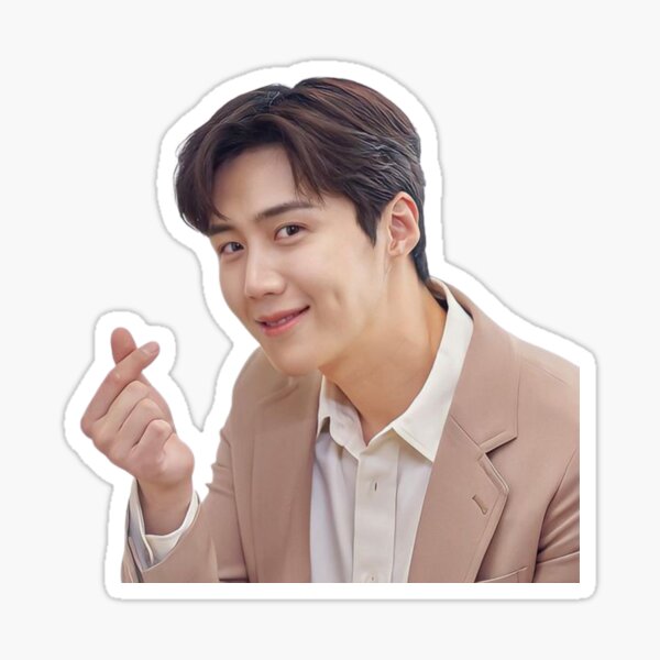 Hello Seonahads! Is anyone selling a signed Kim SeonHo memorabilia?  Anything really, a photo, poster, polaroid, magazine, anything! It's a  birthday gift for a very special and brave person. I'm located in