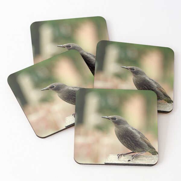 Item preview, Bird Stare designed and sold by Fearless-Fox.