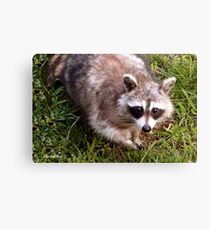 Look into My Eyes, Deeper, Deeper... Canvas Print