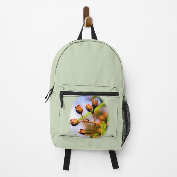 Item preview, Ant on gum nut designed and sold by indiafrankk.