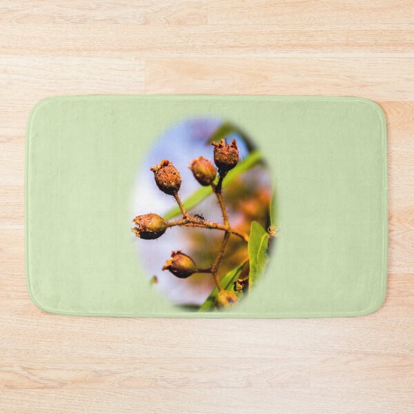 Item preview, Ant on gum nut  designed and sold by indiafrankk.