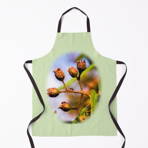 Item preview, Ant on gum nut designed and sold by indiafrankk.