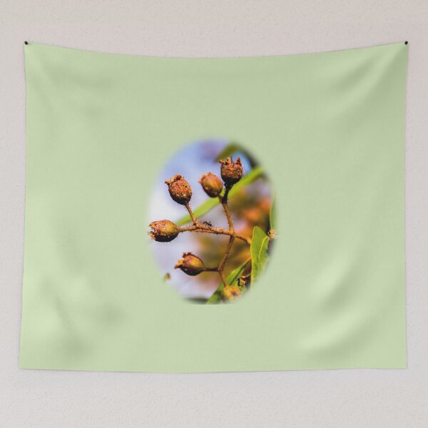 Item preview, Ant on gum nut  designed and sold by indiafrankk.
