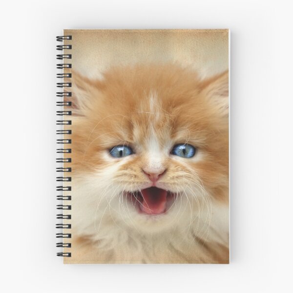 Item preview, Where's my DINNER?!! designed and sold by micklyn.