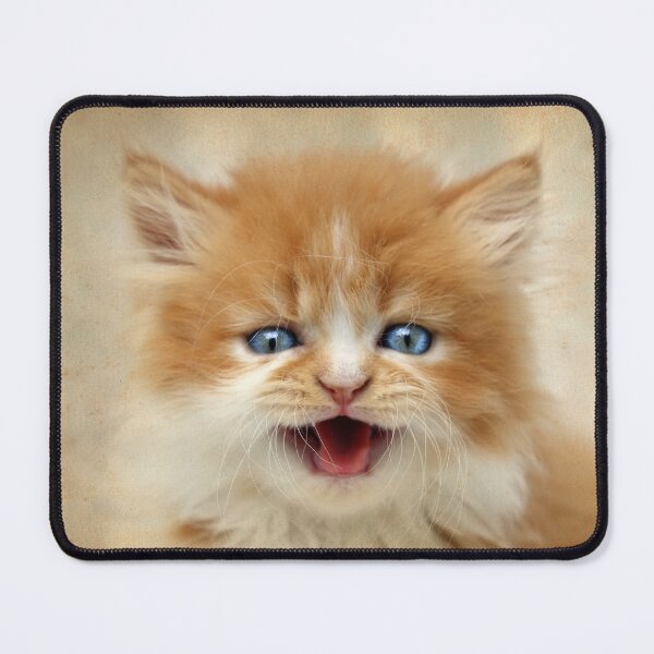 Item preview, Where's my DINNER?!! designed and sold by micklyn.