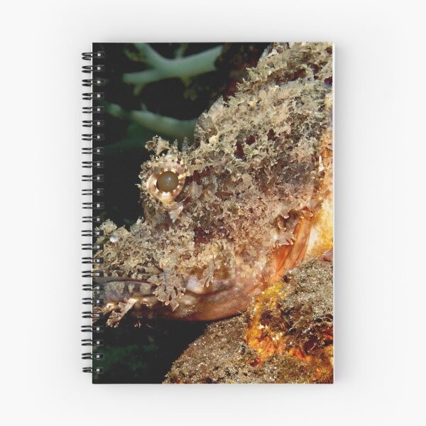 Item preview, Scorpionfish designed and sold by Marcel Botman.