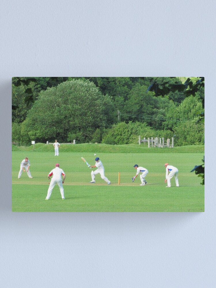 cricket project canvas