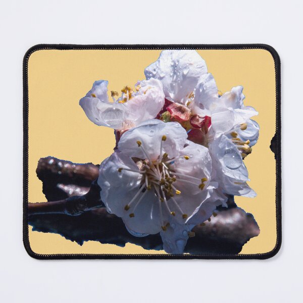 Item preview, Apricot blossom designed and sold by indiafrankk.