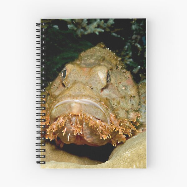 Item preview, Scorpionfish designed and sold by Marcel Botman.