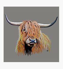 Cargill Coo Photographic Print