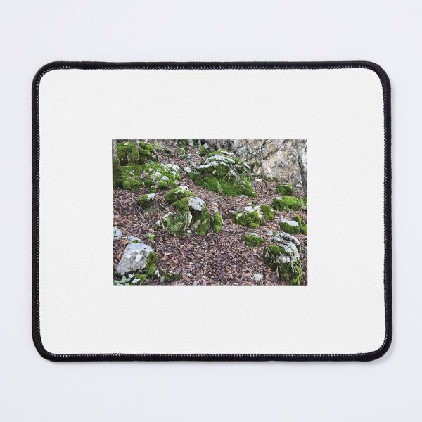 Item preview, Soft moss in autumn nature designed and sold by anisebou.