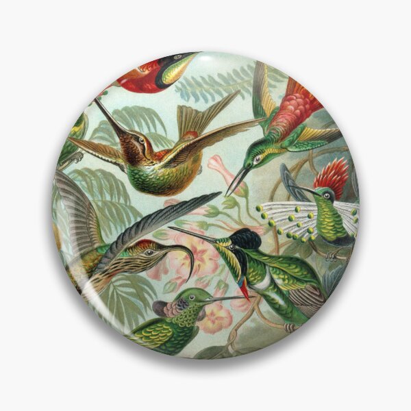 Item preview, Haekel: Trochilidae (1904) designed and sold by Opalaeo.