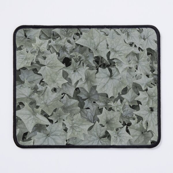 Item preview, Black and white ivy with star shaped leaves designed and sold by ray-designs-.