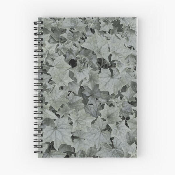Item preview, Black and white ivy with star shaped leaves designed and sold by ray-designs-.