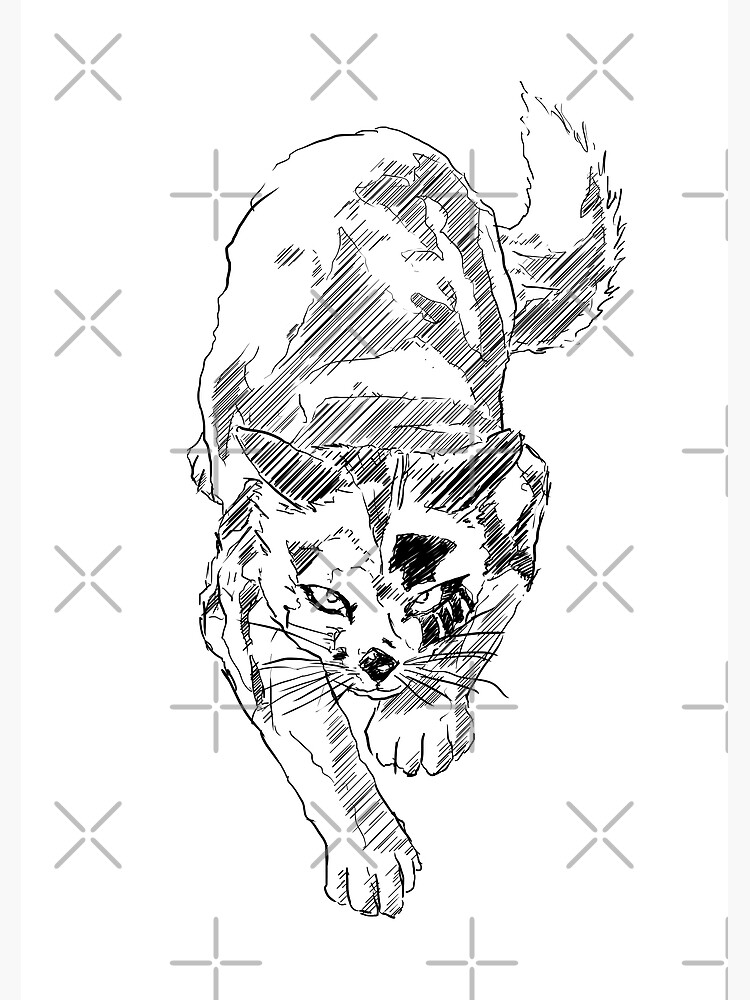 Warrior Cat Black And White Sketch Poster For Sale By ItsMePopoi warrior-cat-black-and-white-sketch-poster-for-sale-by-itsmepopoi