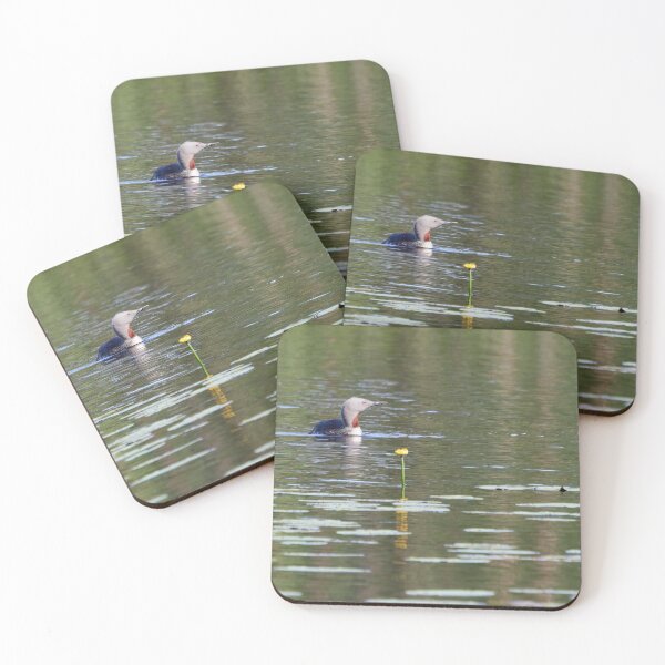Item preview, Red-throated loon and Yellow Water-lily designed and sold by Jouko Lehto Photography.