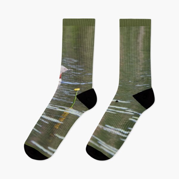 Item preview, Red-throated loon and Yellow Water-lily designed and sold by Jouko Lehto Photography.