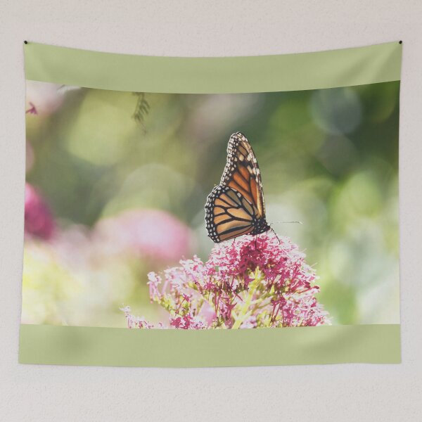Item preview, Monarch Butterfly on a red valerian flower designed and sold by imaginethis.