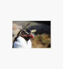 Windblown Rockhopper Art Board