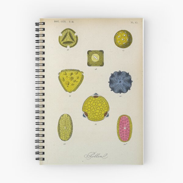 Item preview, Pollen, plate 13 designed and sold by Lloyd Library & Museum.
