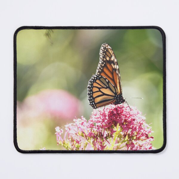 Item preview, Monarch Butterfly on a red valerian flower designed and sold by imaginethis.
