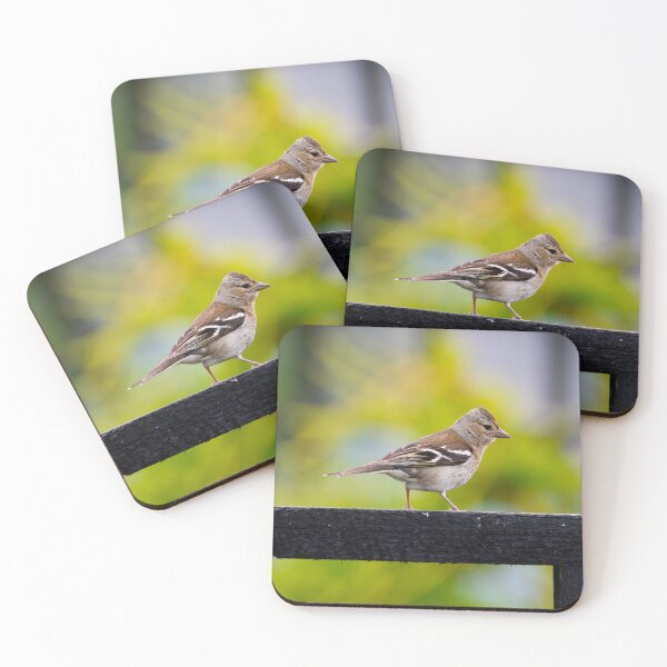 Item preview, Chaffinch designed and sold by photobytableau.