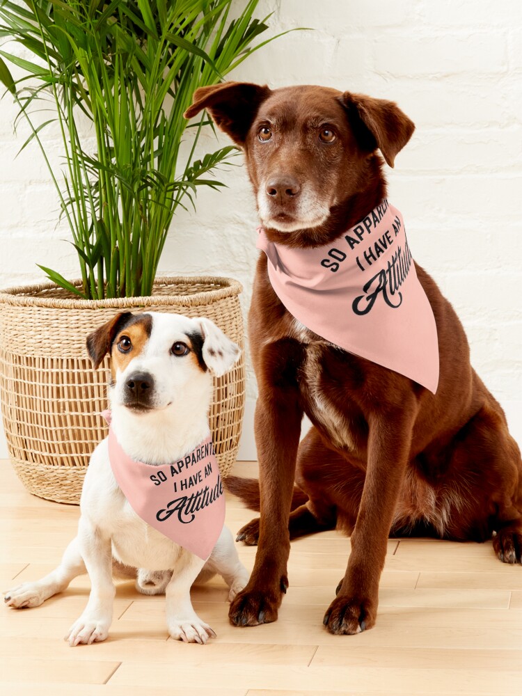 Funny dog hotsell bandana sayings