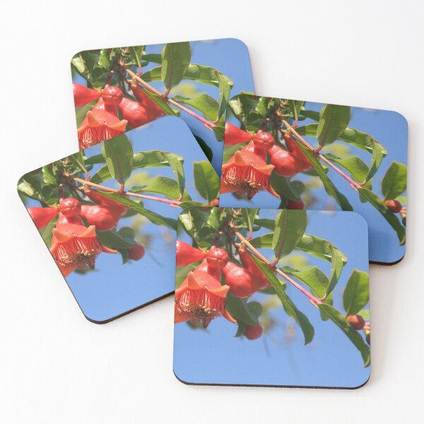 Item preview, Pomegranate Flowers Blossom Photography designed and sold by taiche.