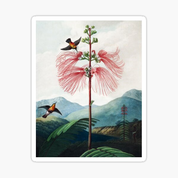 Item preview, Large Flowering Sensitive Plant - The Temple of Flora designed and sold by Vintage Wall Art.