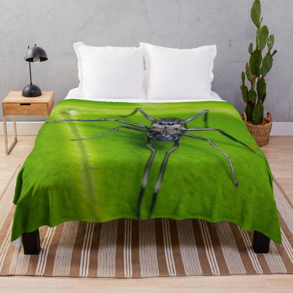Item preview, Unique and organic photo of an ant mimic spider looking at you designed and sold by AvonPerception.