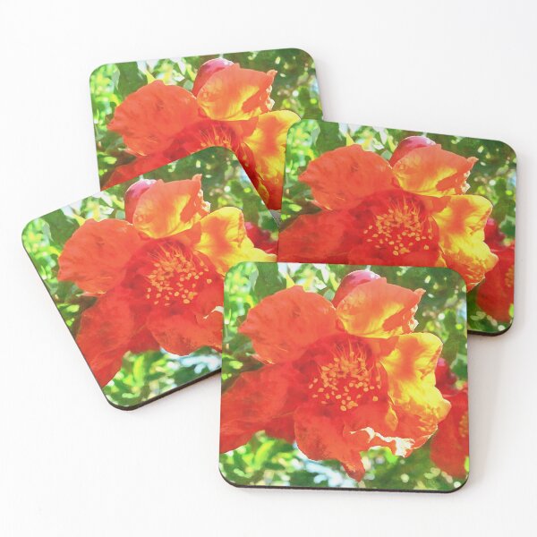 Item preview,  Scarlet Punica Granatum Pomegranate Flower Acrylic Art designed and sold by taiche.