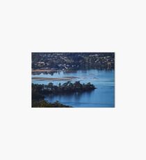 Narooma Town Art Board Print