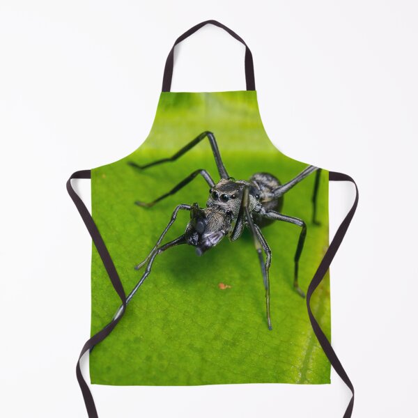 Item preview, Unique and organic photo of an ant mimic spider cleaning its chelicerae designed and sold by AvonPerception.