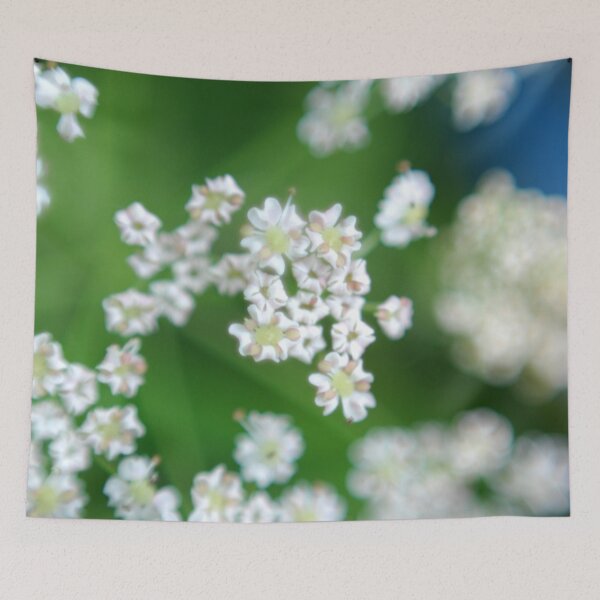 Item preview, White flowers Beskid Niski designed and sold by CasparTheRiddle.