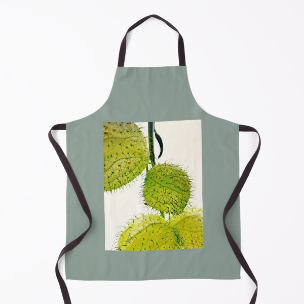 Item preview, Balloon plant Gomphocarpus physocarpus designed and sold by Christine Mignon.