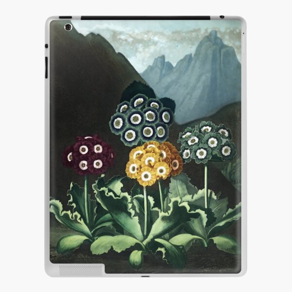 Auriculas - The Temple of Flora Botanical Print iPad Skin