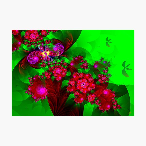 Rose Garden Photographic Print