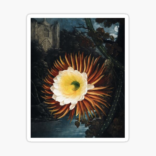 Item preview, Night-blooming Cereus - The Temple of Flora Botanical Print designed and sold by Vintage Wall Art.