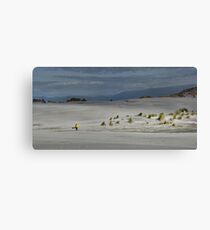 Jandal Carrier Canvas Print