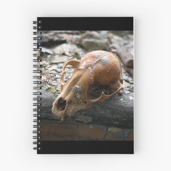 Item preview, Beauty is Mysterious designed and sold by Marissa Mancini.