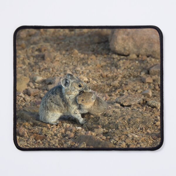 Item preview, Pika mom carrying baby designed and sold by Eivor Kuchta.