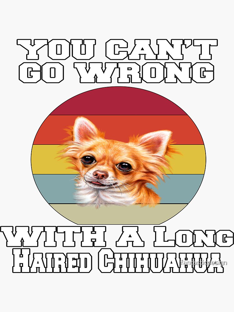 "Long Hair Chihuahua Gifts You Can’t Go Wrong With A Long Haired