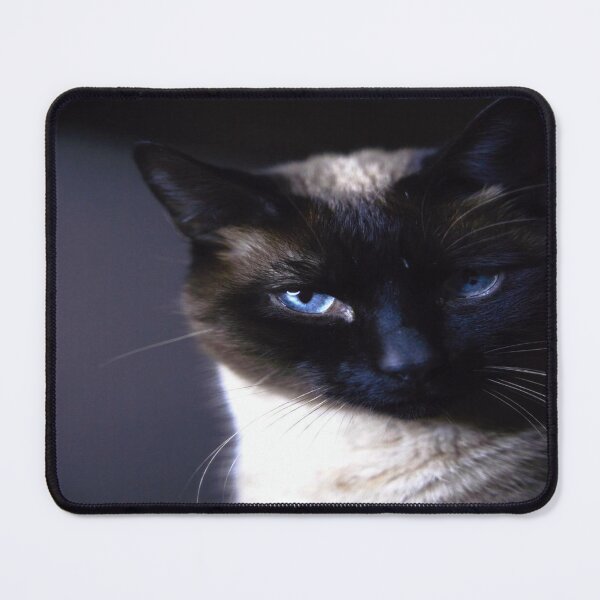 Item preview, Cat with Blue eye designed and sold by MiRas7.