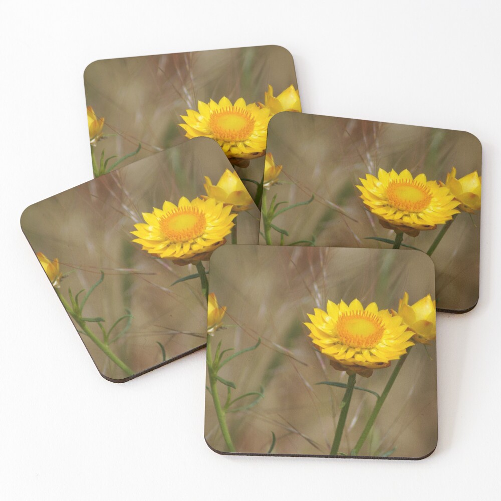 Yellow paper daisy Coasters (Set of 4)