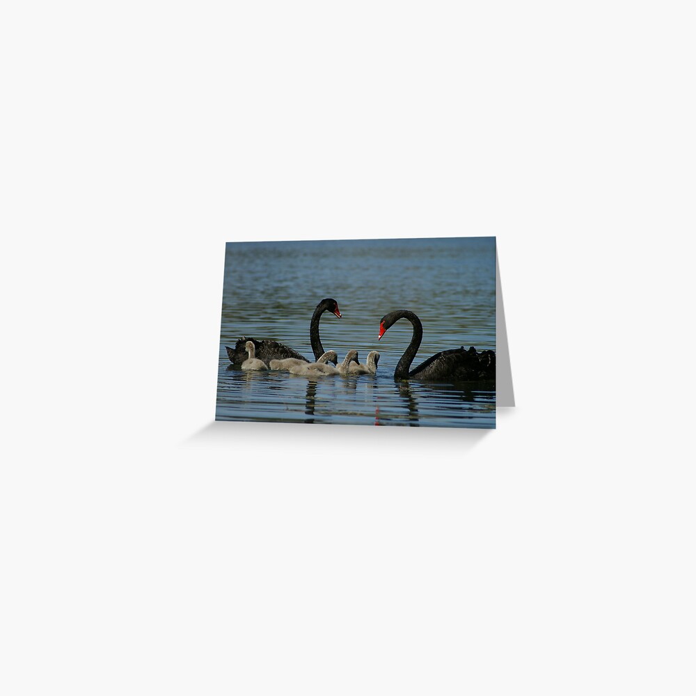 Swan family Greeting Card