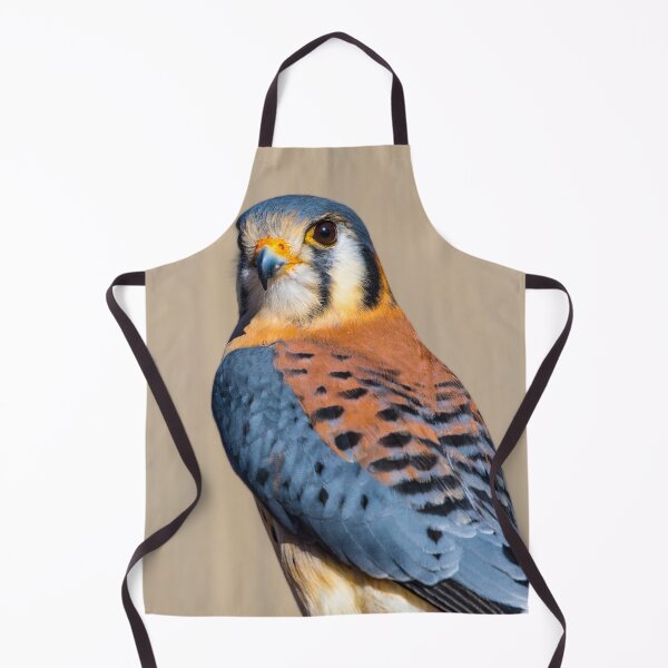 Item preview, American Kestrel designed and sold by May Finch.