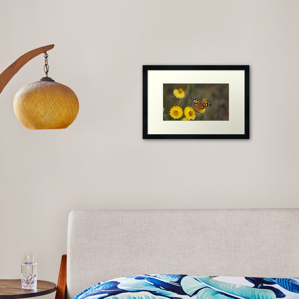 Butterfly and yellow paper daisies Framed Art Print