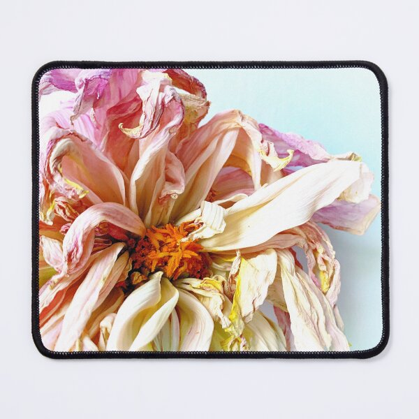 Item preview, Dried aster designed and sold by Christine Mignon.