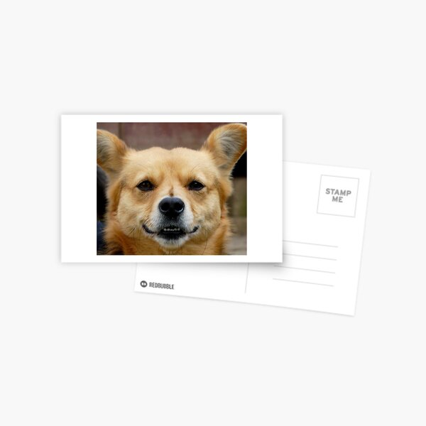 I M WATCHING YOU :) Postcard
